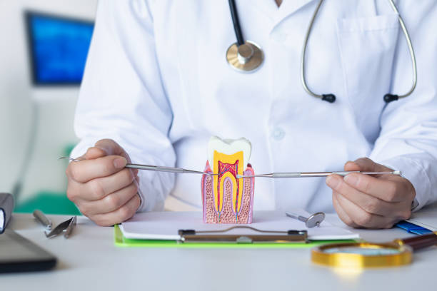 Best Emergency Dental Surgery in Jefferson, OH